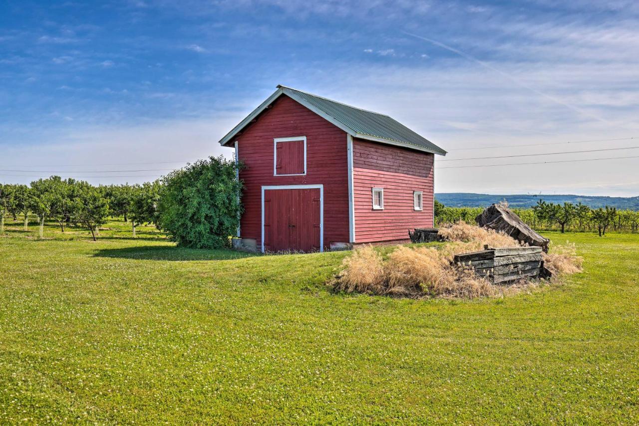 Finger Lakes Farm Retreat Walk To Wineries! Hector Exterior photo