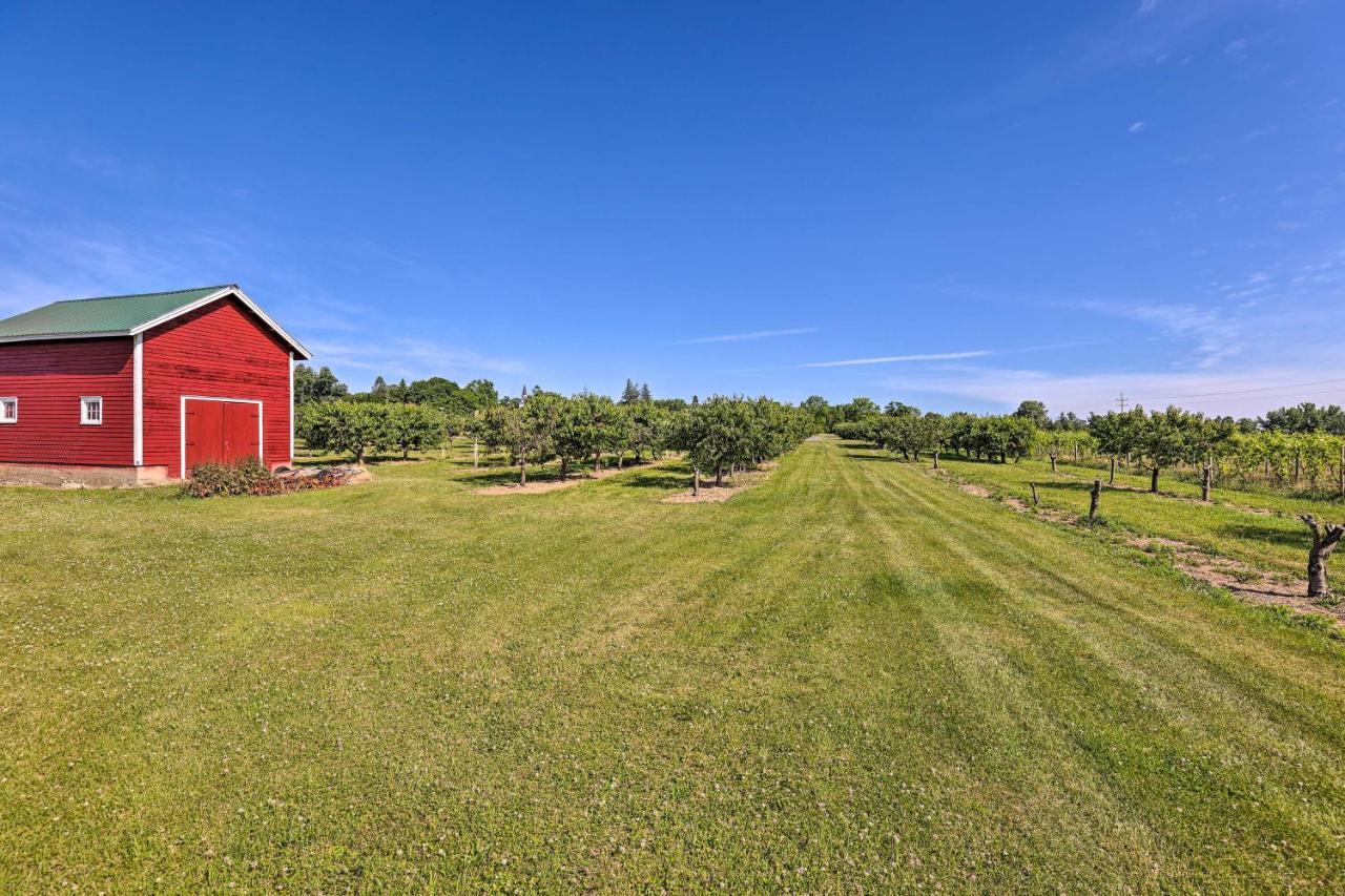 Finger Lakes Farm Retreat Walk To Wineries! Hector Exterior photo