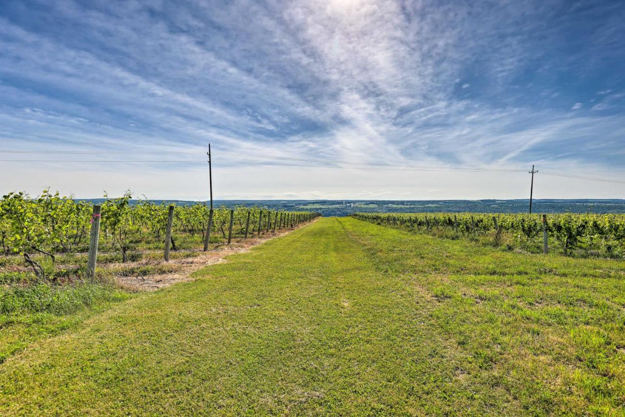 Finger Lakes Farm Retreat Walk To Wineries! Hector Exterior photo